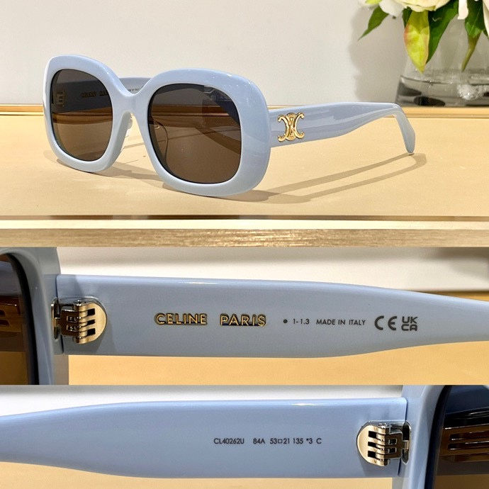 Celine Glasses smx (678)